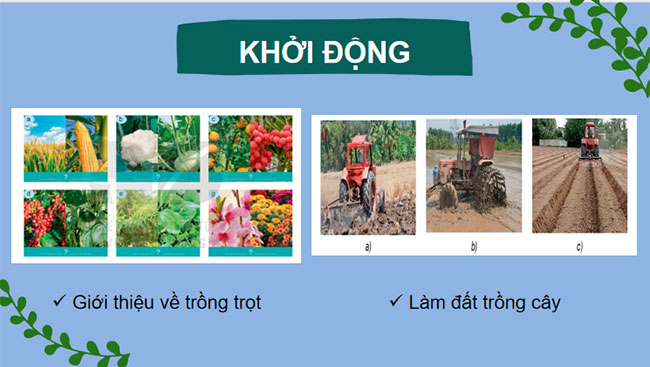 Ôn tập chương 1