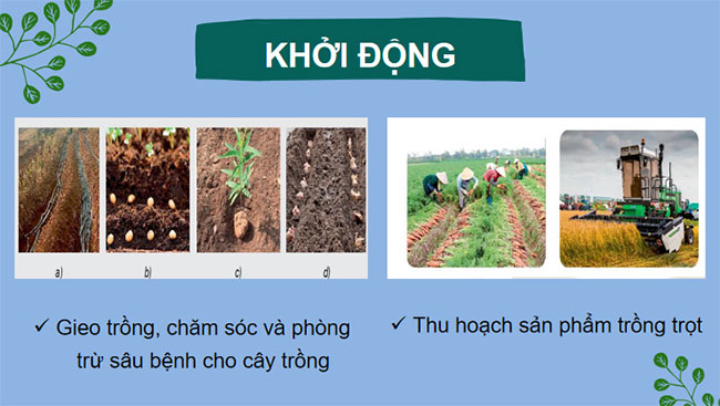 Ôn tập chương 1