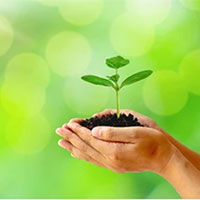 Giáo án Công nghệ 7 Ôn tập chương 2