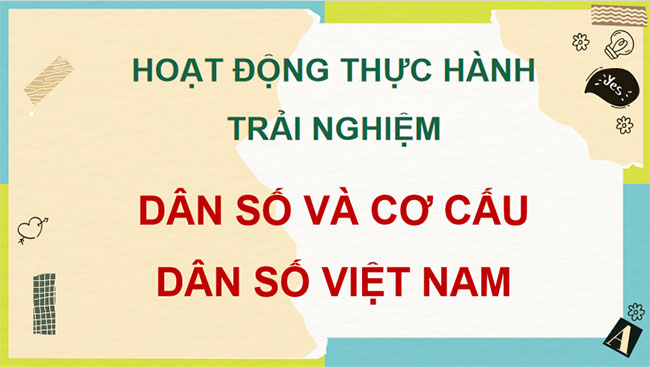 Dân số và cơ cấu dân số Việt Nam