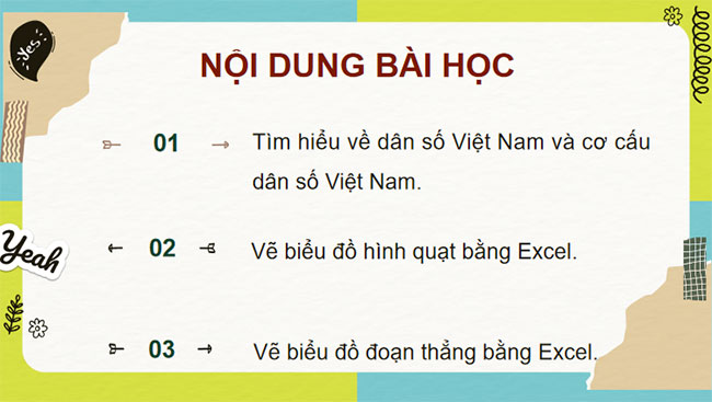 Dân số và cơ cấu dân số Việt Nam