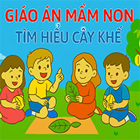 Giáo án: Tìm hiểu về cây khế