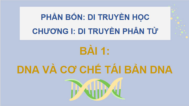 DNA và cơ chế tái bản DNA