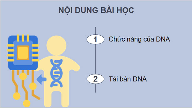 DNA và cơ chế tái bản DNA