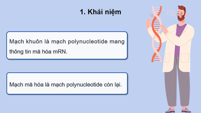 Giáo án PowerPoint Sinh học 12 Bài 2