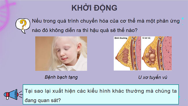 Điều hoà biểu hiện gene