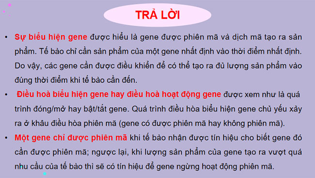 Điều hoà biểu hiện gene