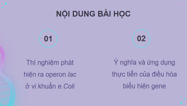 Điều hoà biểu hiện gene