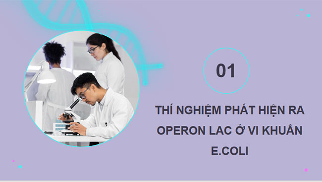 Điều hoà biểu hiện gene