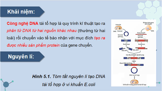 Công nghệ di truyền