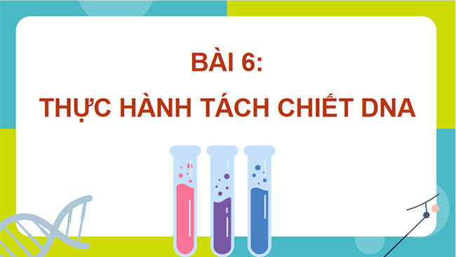 Thực hành Tách chiết DNA