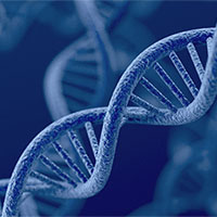 Giáo án Sinh học 12 Bài 1: DNA và cơ chế tái bản DNA