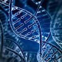 Giáo án Sinh học 12 Bài 2: Gene quá trình truyền đạt thông tin di truyền và hệ gene