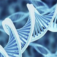 Giáo án Sinh học 12 Bài 3: Điều hoà biểu hiện gene