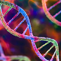 Giáo án Sinh học 12 Bài 5: Công nghệ di truyền