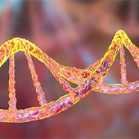 Giáo án Sinh học 12 Bài 6: Thực hành Tách chiết DNA