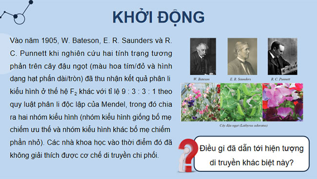 Liên kết gene và hoán vị gene
