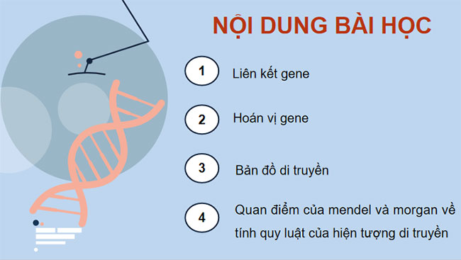 Liên kết gene và hoán vị gene