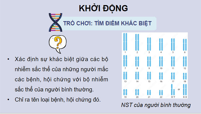 Đột biến nhiễm sắc thể