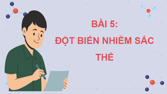 Đột biến nhiễm sắc thể