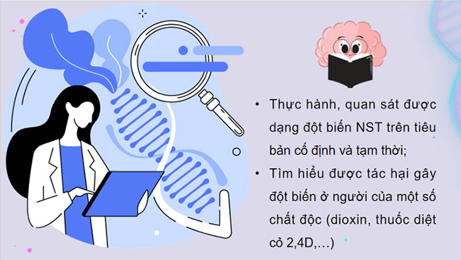 Thực hành Quan sát một số dạng đột biến nhiễm sắc thể