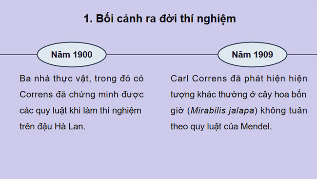 Cấu trúc và chức năng của nhiễm sắc thể