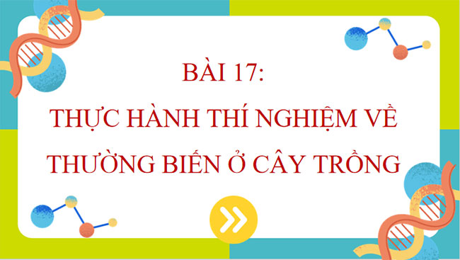 PowerPoint Sinh học 12 Bài 17