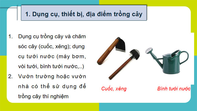 PowerPoint Sinh học 12 Bài 17
