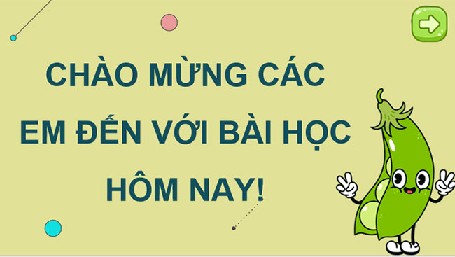 Học thuyết di truyền của Mendel