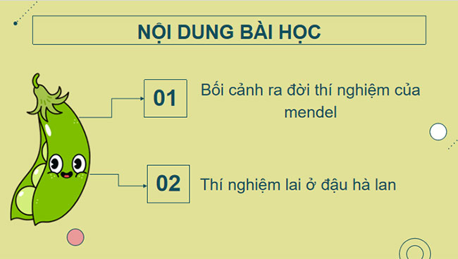 Học thuyết di truyền của Mendel
