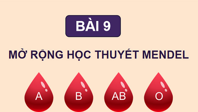 Mở rộng học thuyết Mendel