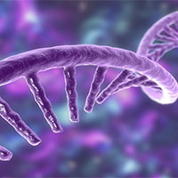 Giáo án Sinh học 12 Bài 12: Đột biến nhiễm sắc thể