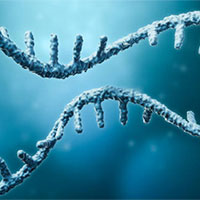 Giáo án Sinh học 12 Bài 13: Di truyền học người và di truyền y học