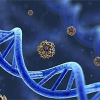 Giáo án Sinh học 12 Bài 17: Thực hành Thí nghiệm về thường biến ở cây trồng