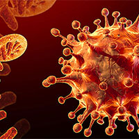 Giáo án Sinh học 12 Bài 7: Cấu trúc và chức năng của nhiễm sắc thể