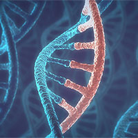 Giáo án Sinh học 12 Bài 9: Mở rộng học thuyết Mendel