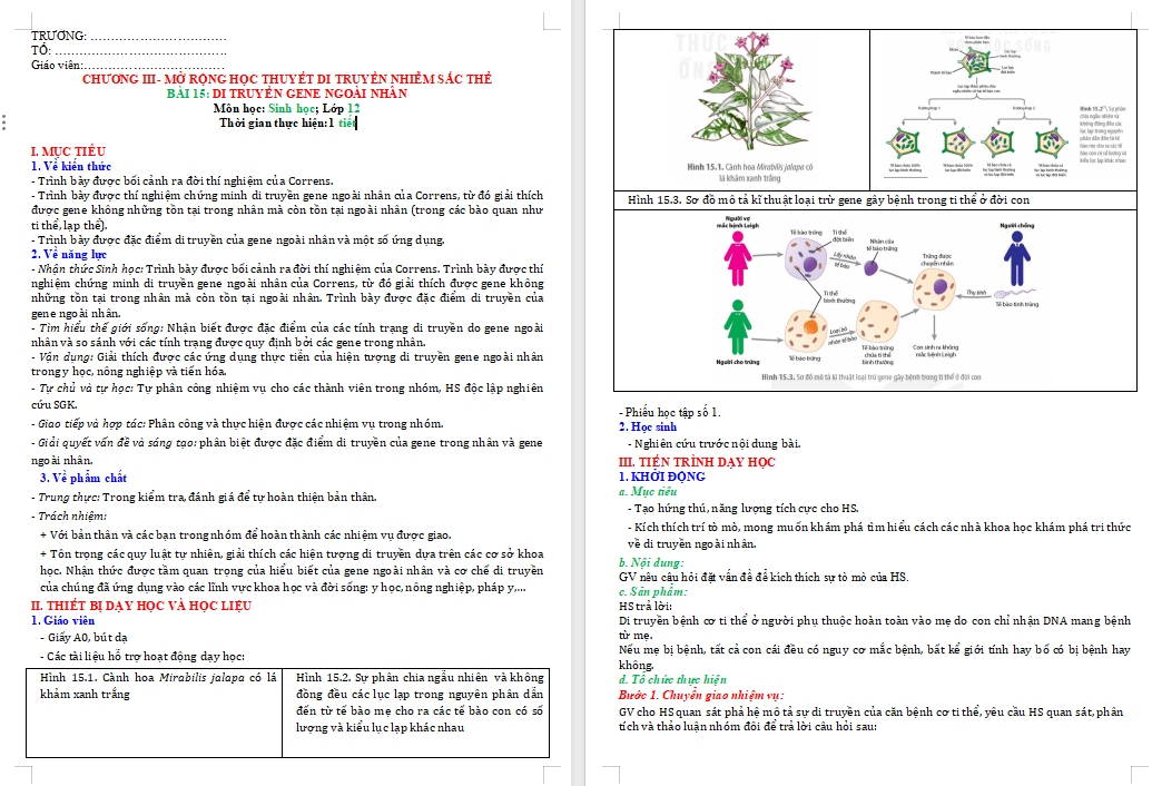 Cấu trúc và chức năng của nhiễm sắc thể