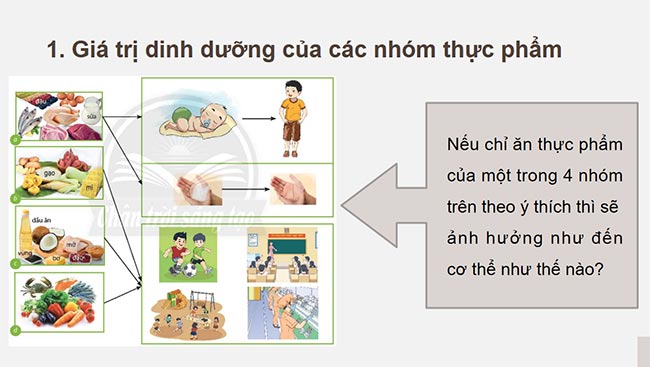 PowerPoint Công nghệ 6 Bài 4: Thực phẩm và dinh dưỡng