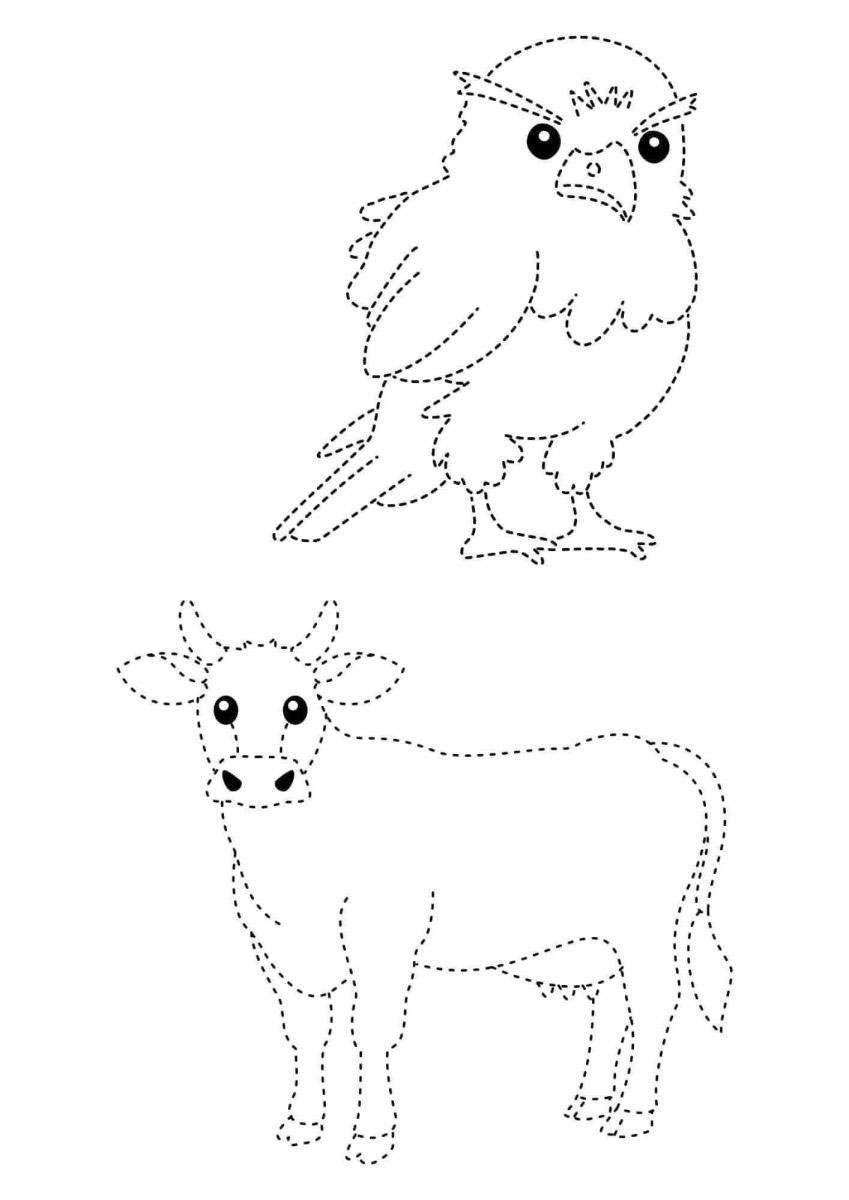 tranh net dut 5*57006