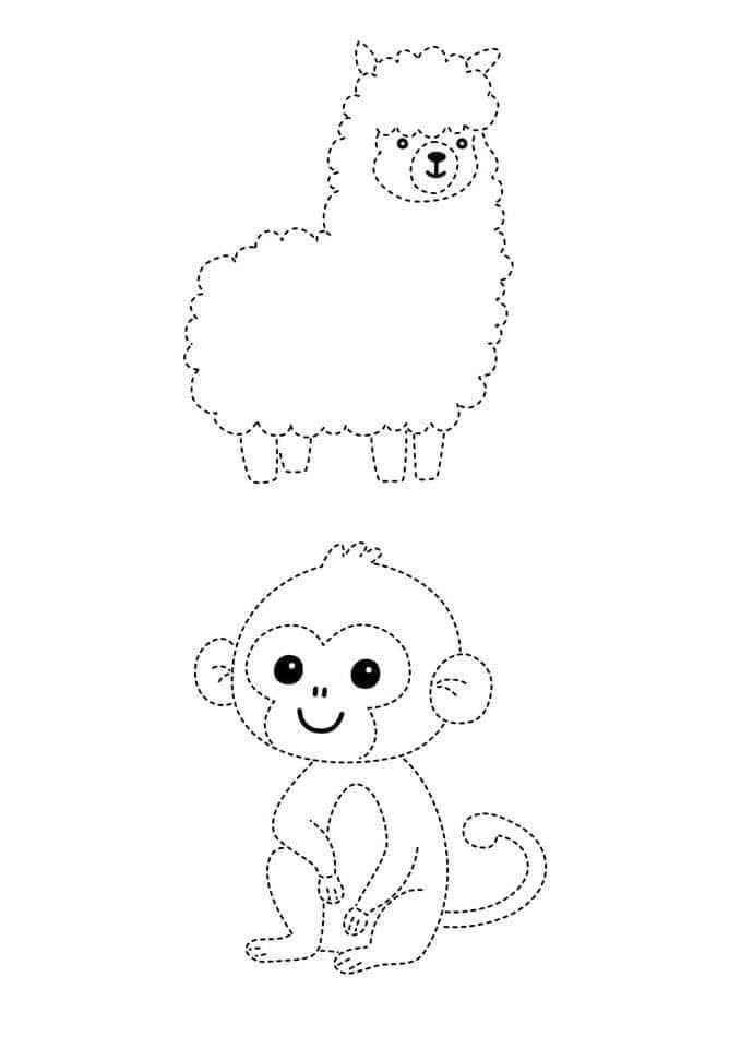 tranh net dut 6*57003