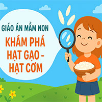 Giáo án: Khám phá hạt gạo- hạt cơm