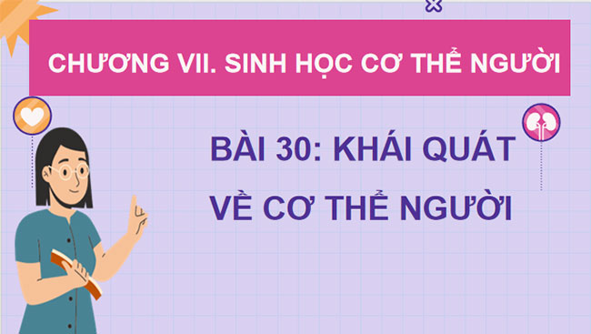 PowerPoint KHTN 8 Bài 30 KNTT