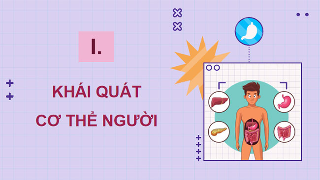 PowerPoint KHTN 8 Bài 30 KNTT