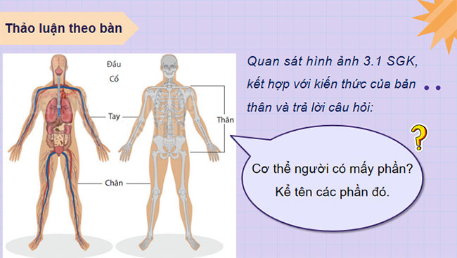 PowerPoint KHTN 8 Bài 30 KNTT