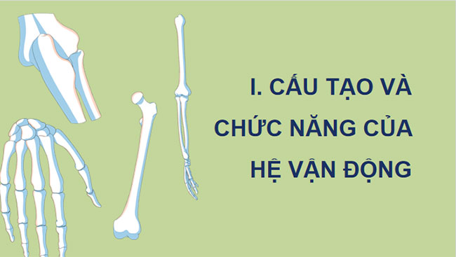 PowerPoint KHTN 8 Bài 31 KNTT