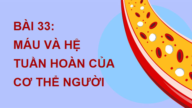 PowerPoint KHTN 8 Bài 33 KNTT