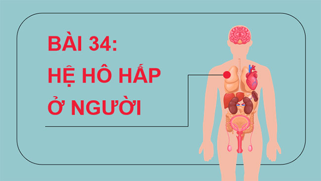 PowerPoint KHTN 8 Bài 34 KNTT