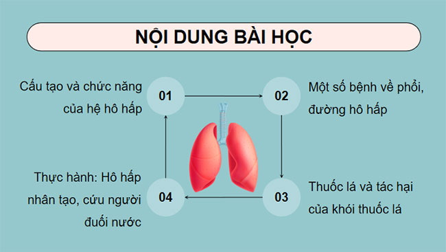 PowerPoint KHTN 8 Bài 34 KNTT