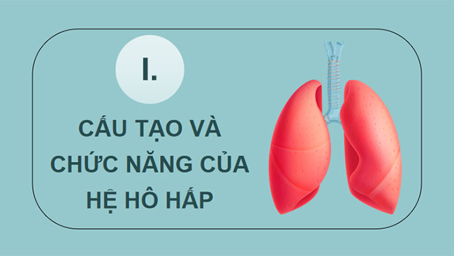 PowerPoint KHTN 8 Bài 34 KNTT