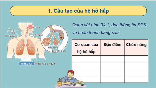 PowerPoint KHTN 8 Bài 34 KNTT